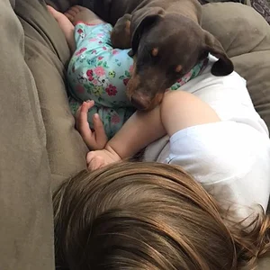 Mauser and Helena napping