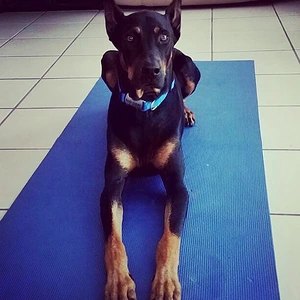 Yoga Time !!