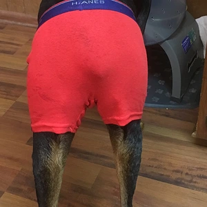 Current situation...