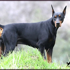 JAKE TAKES THE HIGH ROAD. 6 YEARS