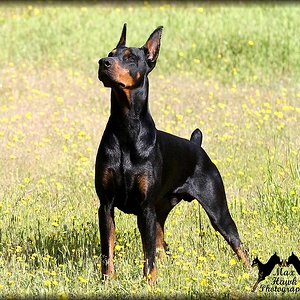 JAKE OUTSTANDING IN HIS FIELD