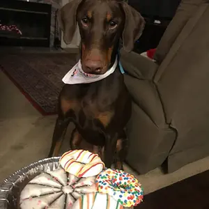 1 year birthday