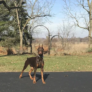 Zeus @ 6 (ish) months