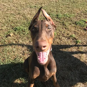 Zeus @ 4(ish) months