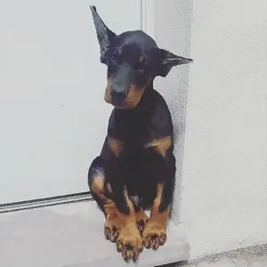 Meet Jeffrey Michael