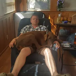 Lap Dog