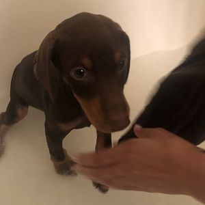 Hendrixx’s first bath