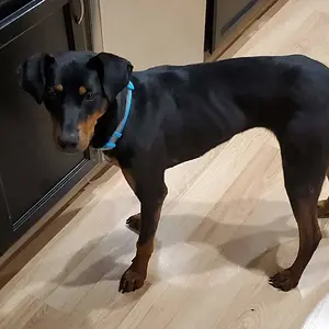 First Picture Mid May 2019