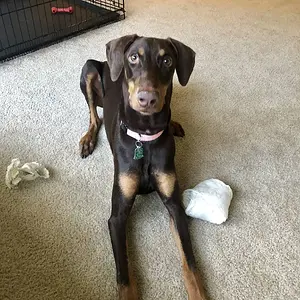 Pretty girl Hendrixx