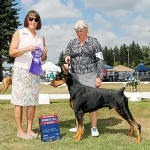 Addy finishes the job