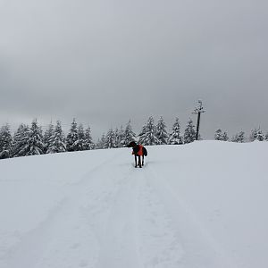 Clyde - ski trip