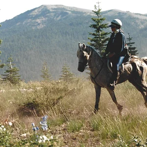 Cougar Rock entry Essy