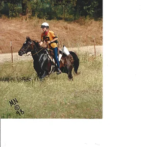 Camp Far West 50