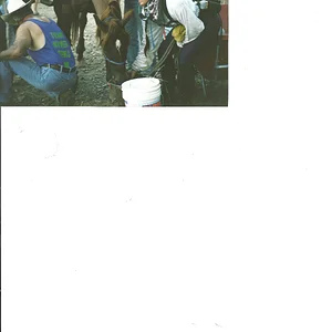 Robinson Flat 1998