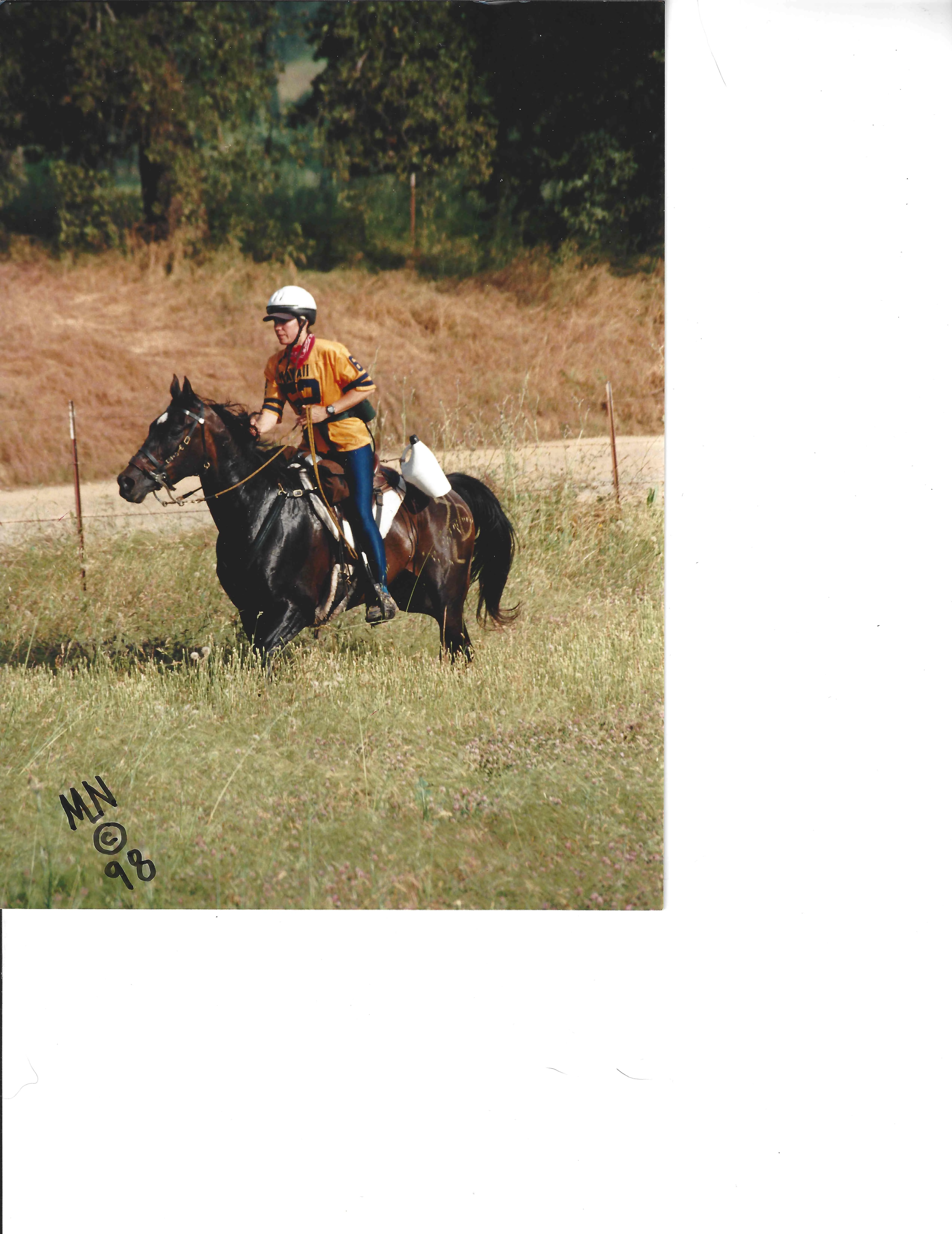 Camp Far West 50