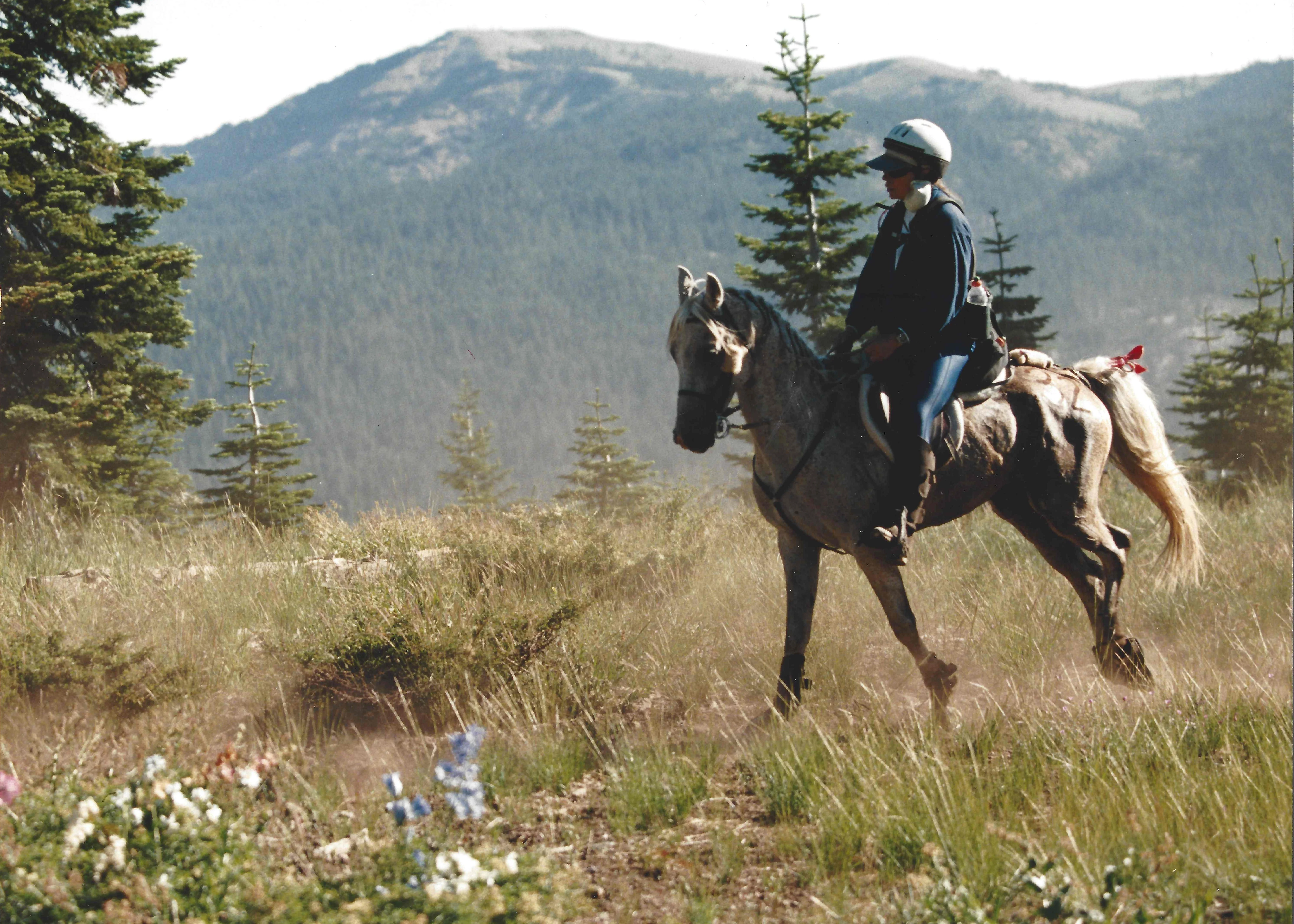 Cougar Rock entry Essy