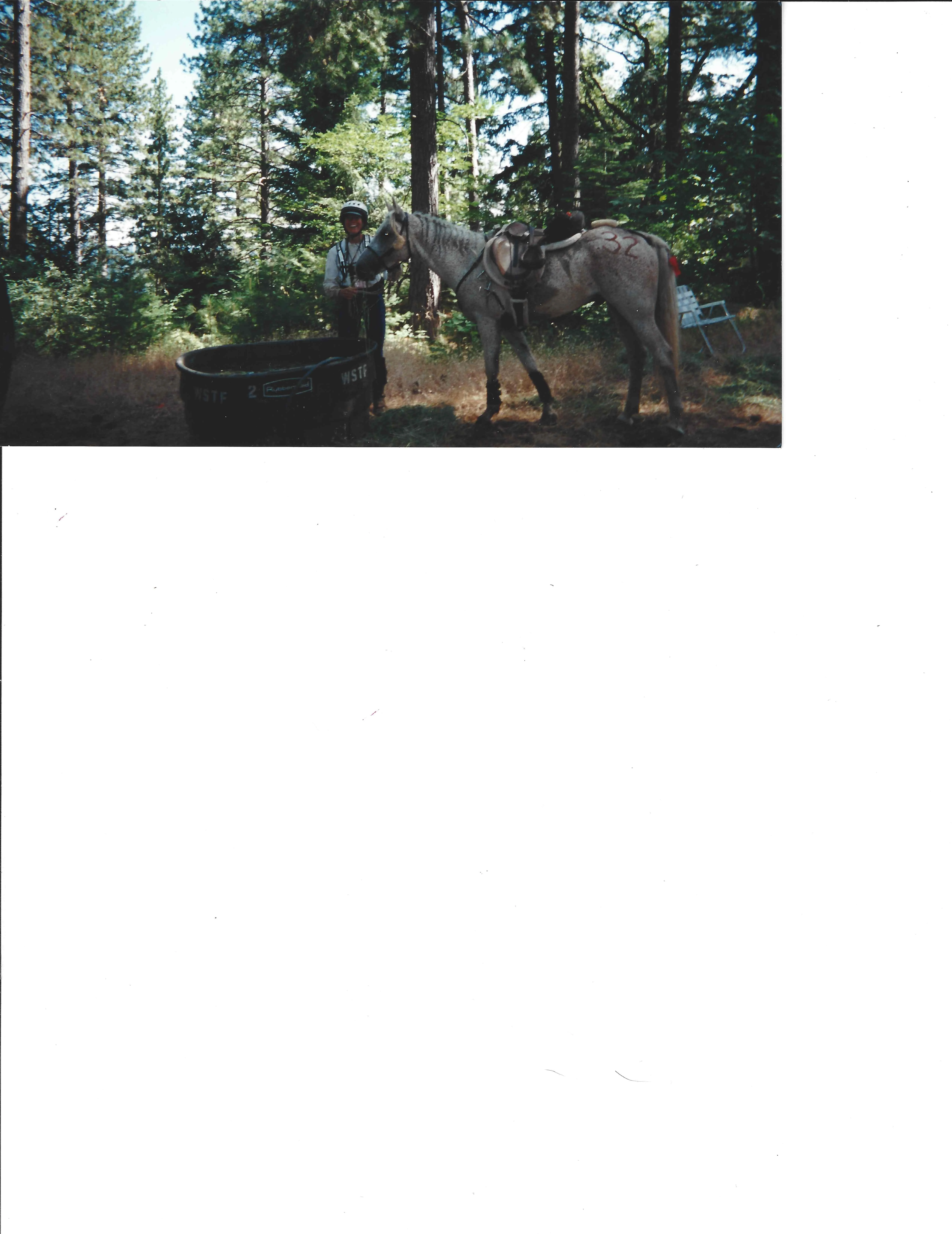 Tevis 1998 vet check Essy