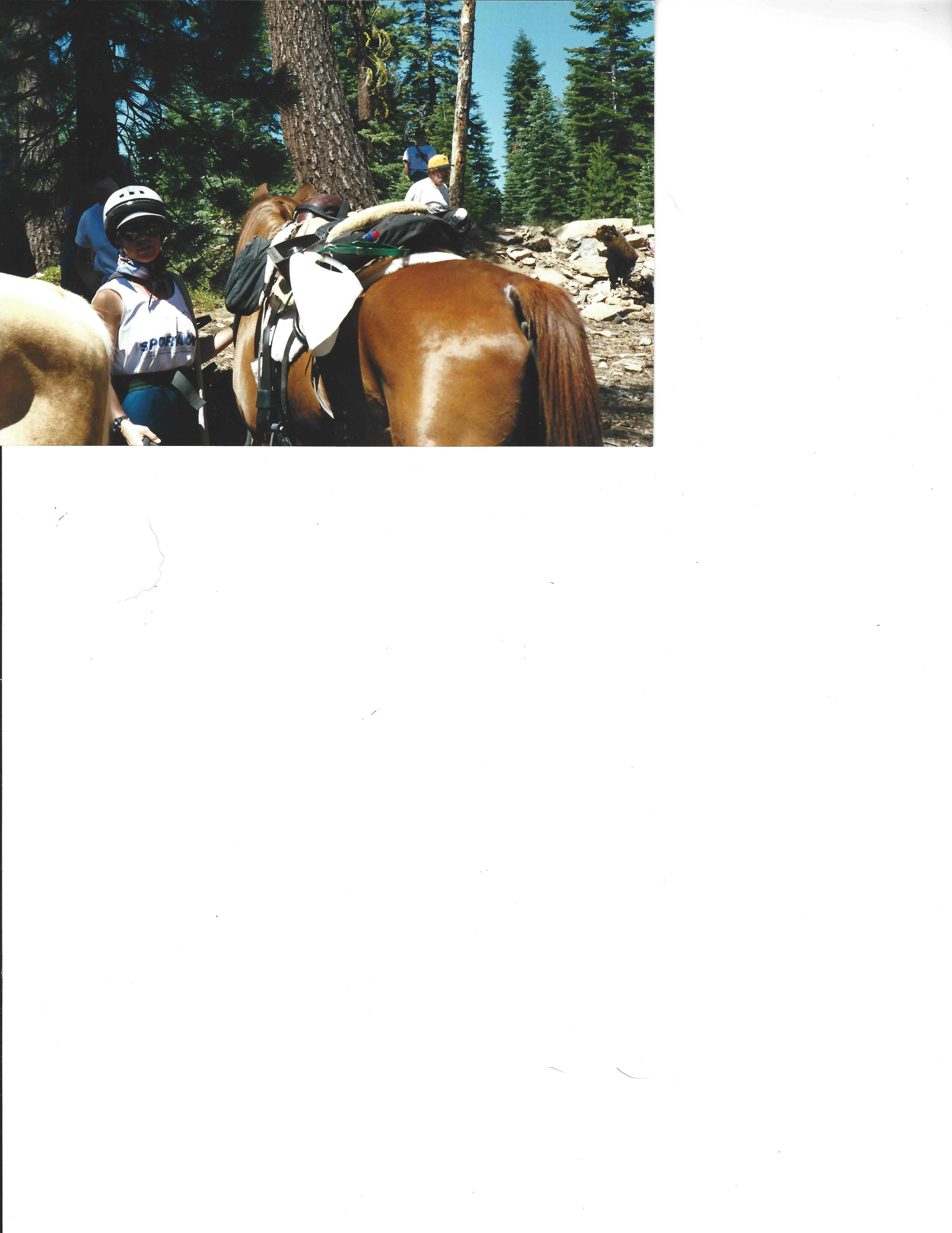 Tevis Vet Check 1998