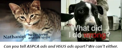HSUS_ASPCA_ads.jpg
