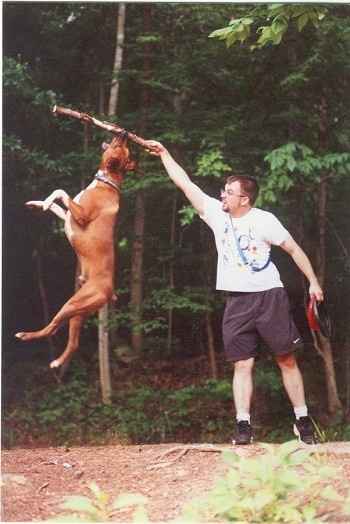 AMsarges-stick.jpg
