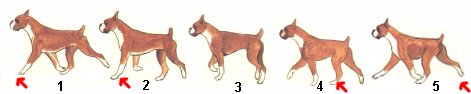 5steps.jpg