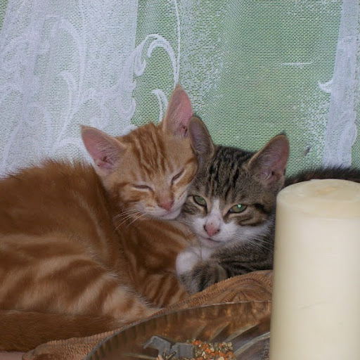 photo.jpg