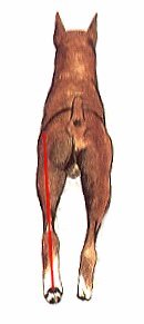 rear-move.jpg