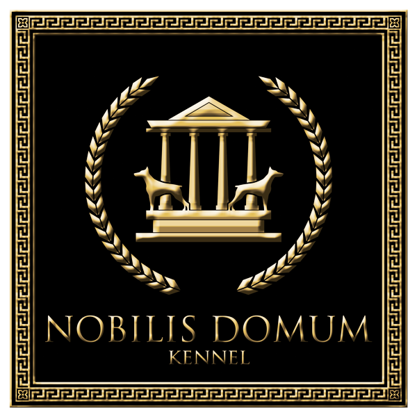www.nobilisdomum.com.br