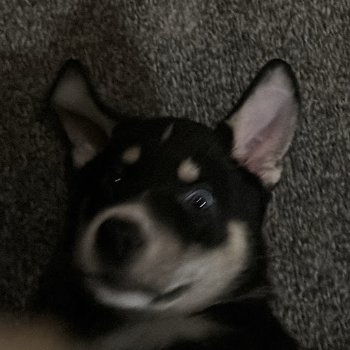 photo.jpg